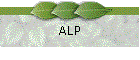 ALP