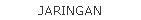 JARINGAN