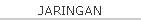 JARINGAN