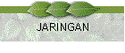 JARINGAN