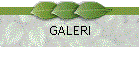 GALERI